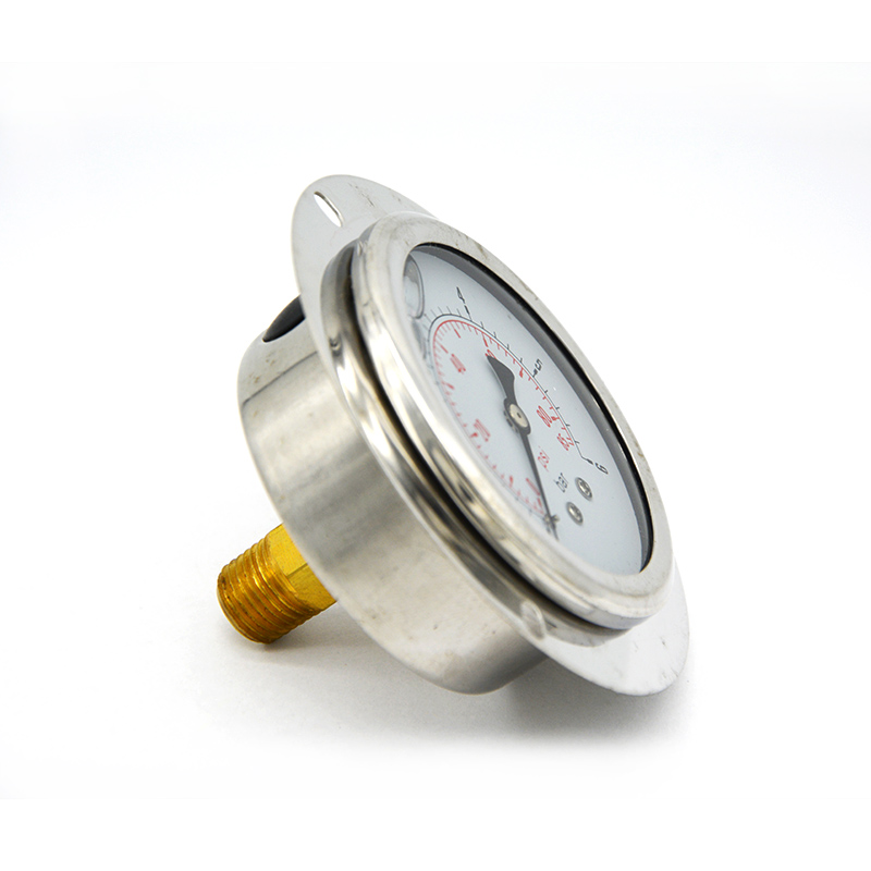 Pressure gauge